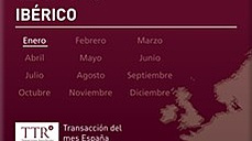 Mercado Ib&eacute;rico - Enero 2014